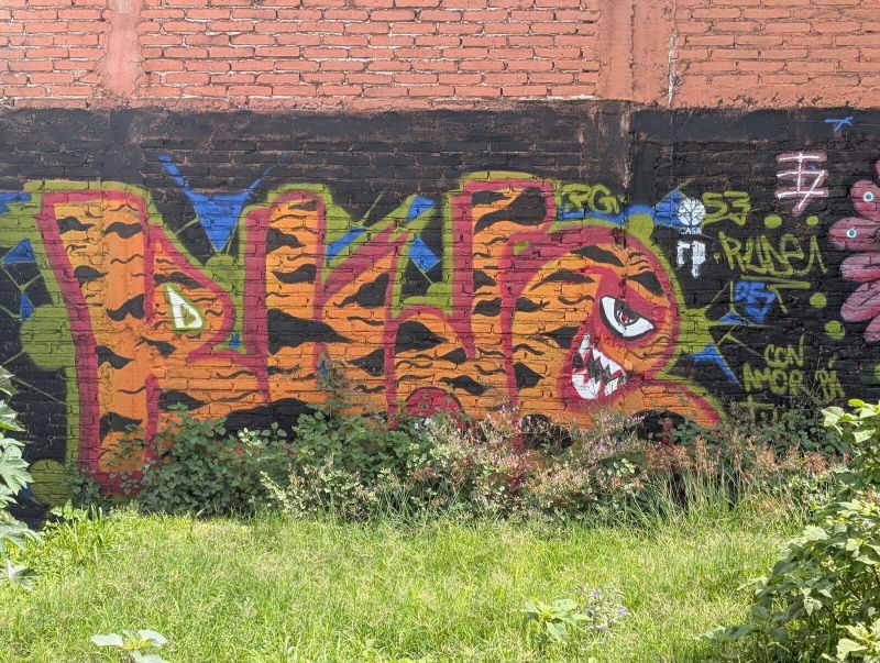 Tiger-stripe wildstyle