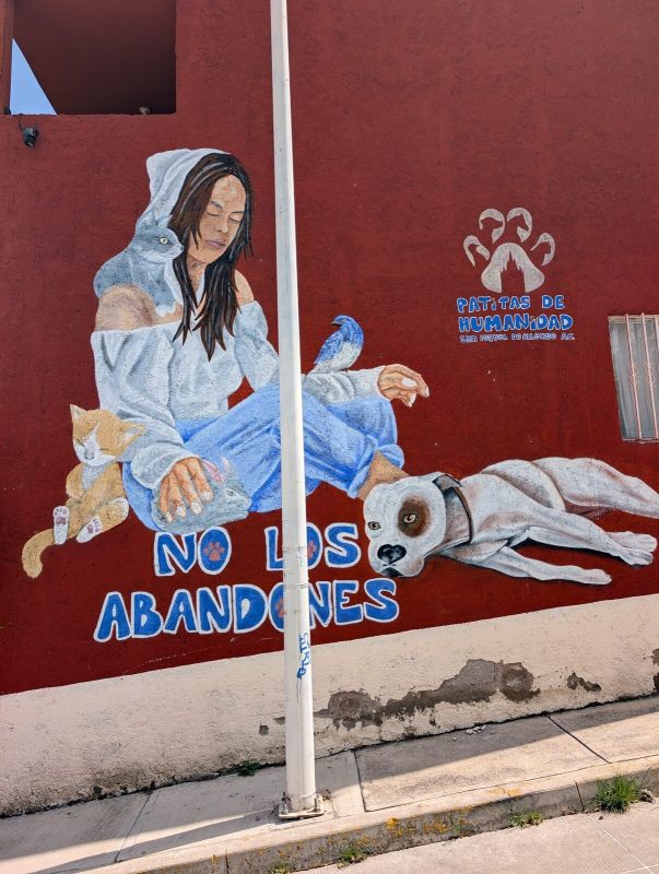 No los abandones