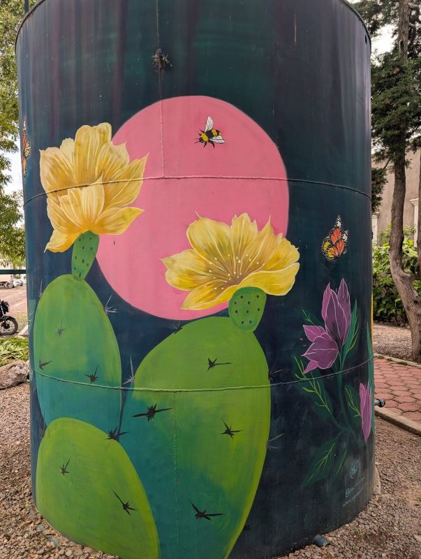 Blooming nopal at moonrise