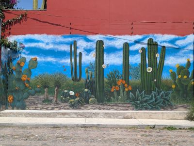 Desert cactus landscape