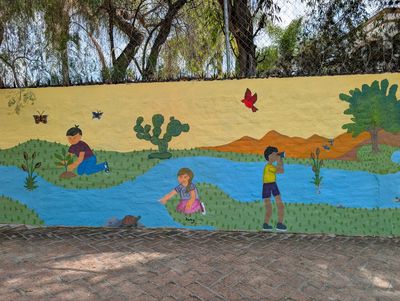 "Conexiones con la naturaleza"