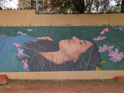 Resting among cosmos