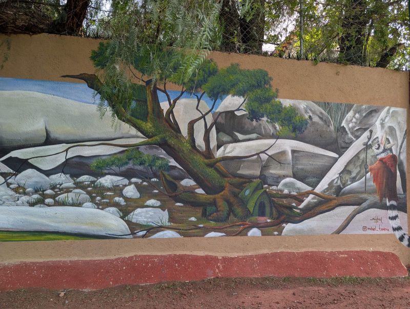 "Raíces de fuerza"