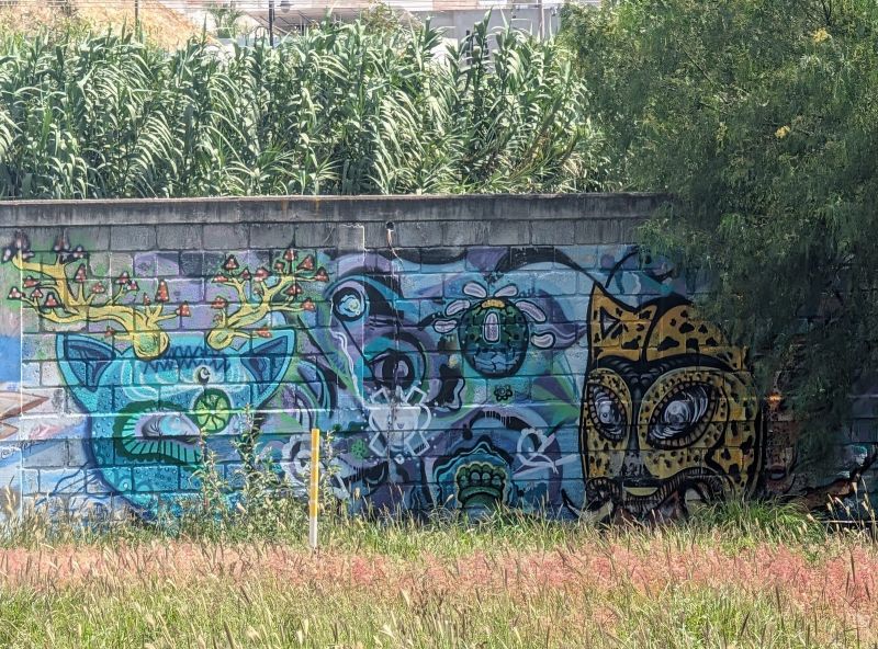 Cat and jaguar with mushrooms