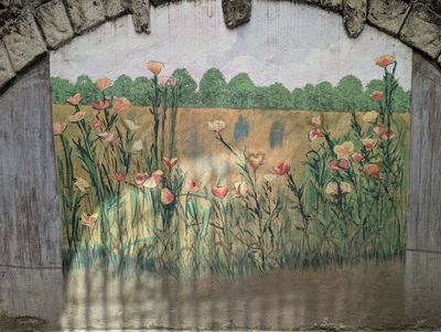 Poppy meadow