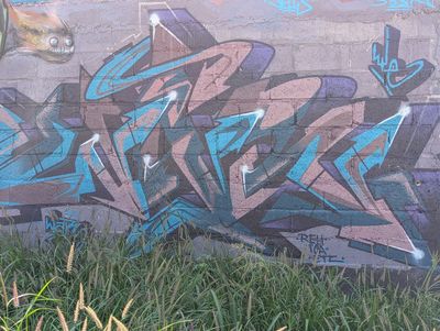 Blue and rose wildstyle