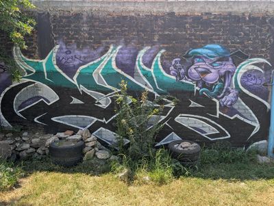 Panther with spray can