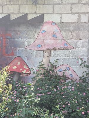 Smiling toadstools