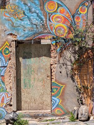 Butterfly over a doorway