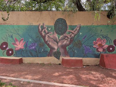 "Manos por la naturaleza"