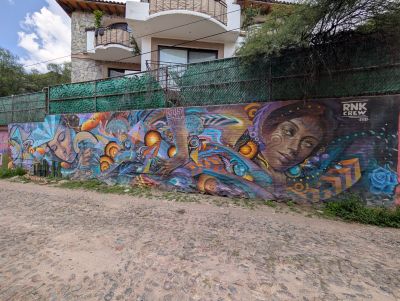 Dreaming faces and ammonites