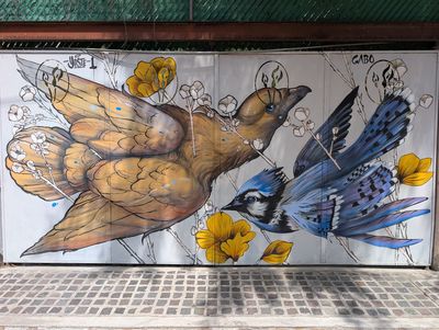 Brown bird and blue jay