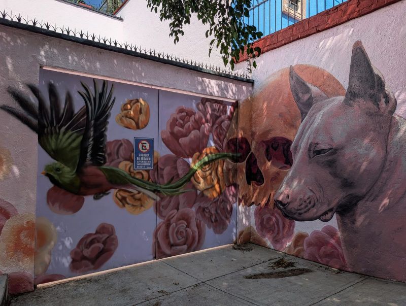 Xolo, calavera y rosas