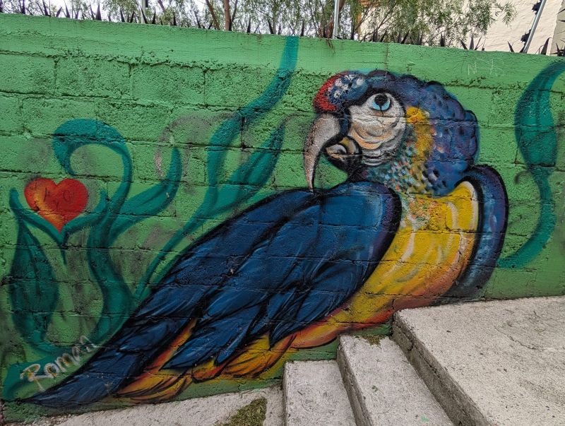 Guacamaya azul y amarilla