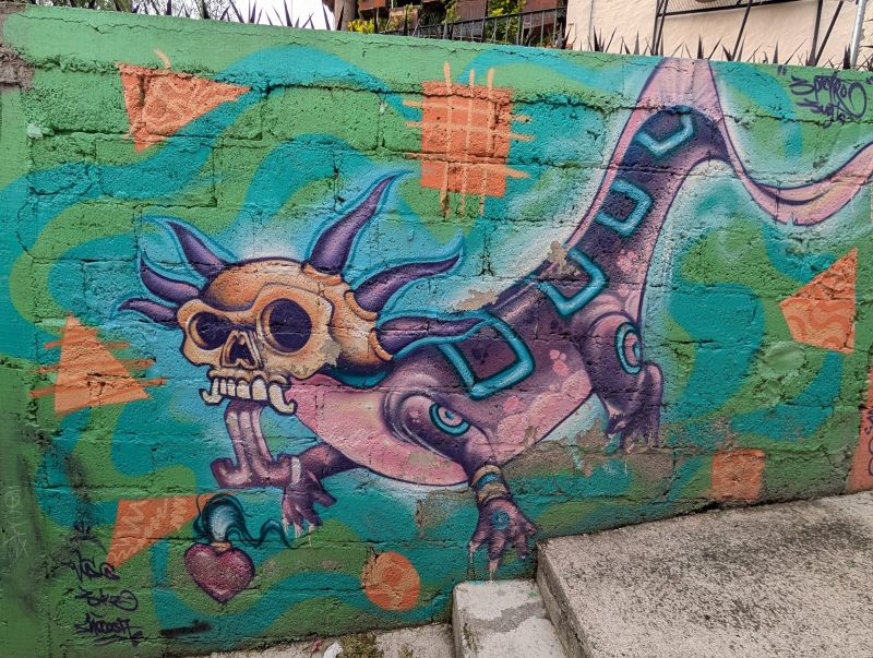 Ajolote con cabeza de calavera