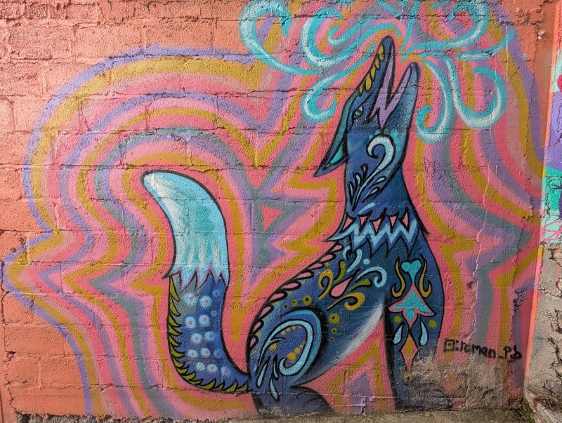 Howling coyote