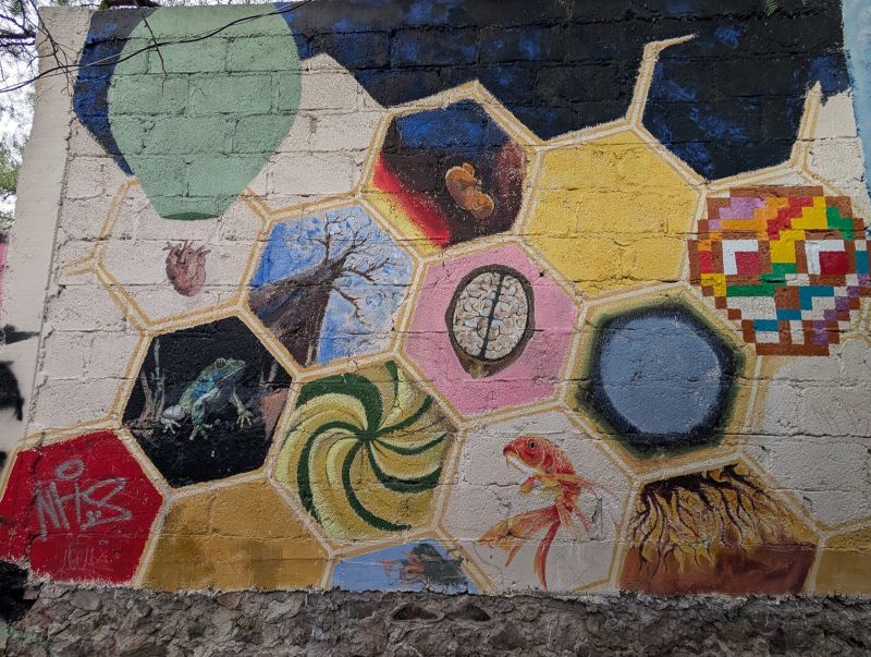 Panal de imágenes
