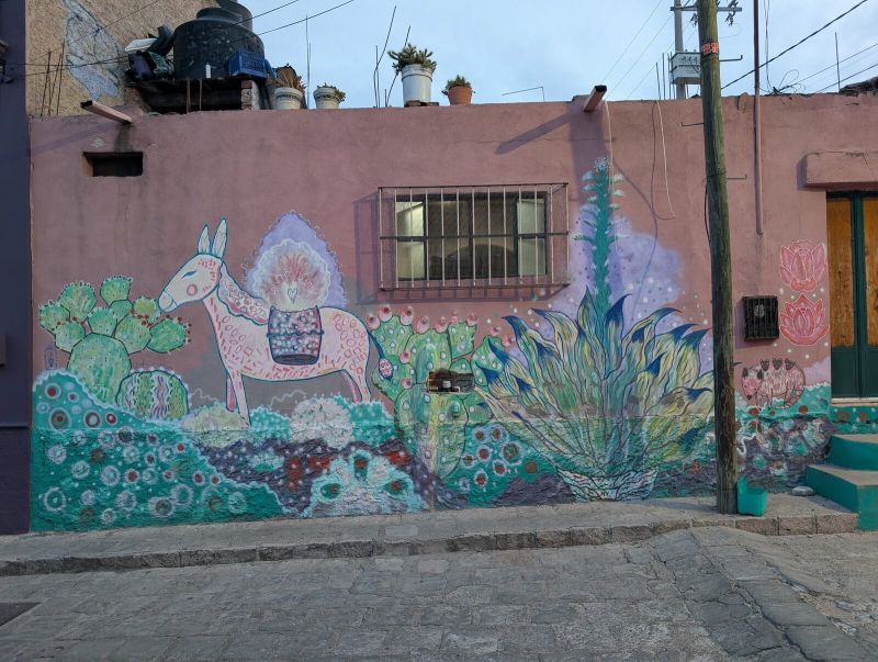 Burro folk entre cactus