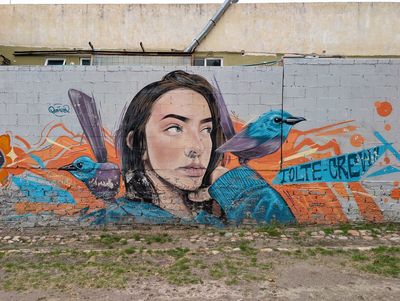 Mujer con aves azules