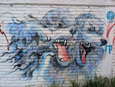 Snarling blue wolves