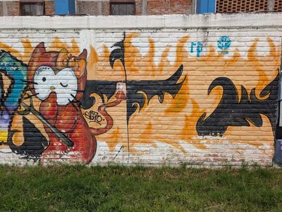 Devil cat in flames