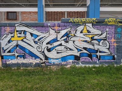 Chrome star burner