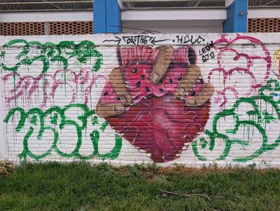 Watermelon heart in hands