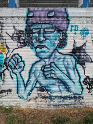 Blue fighter
