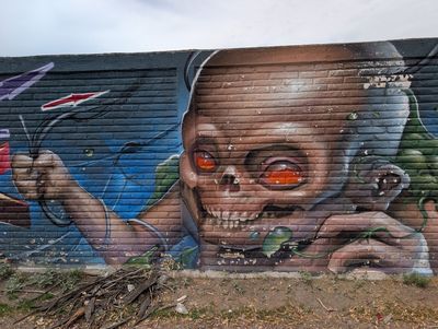Skull-faced infant