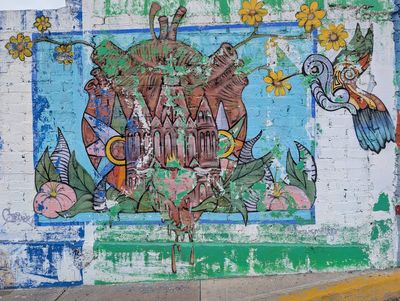 Parroquia and hummingbird