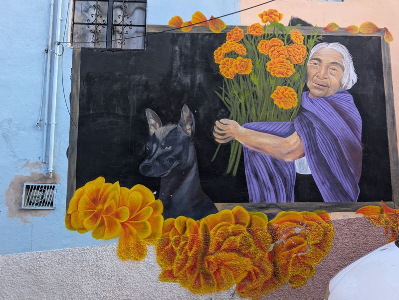 Woman with marigolds and xolo