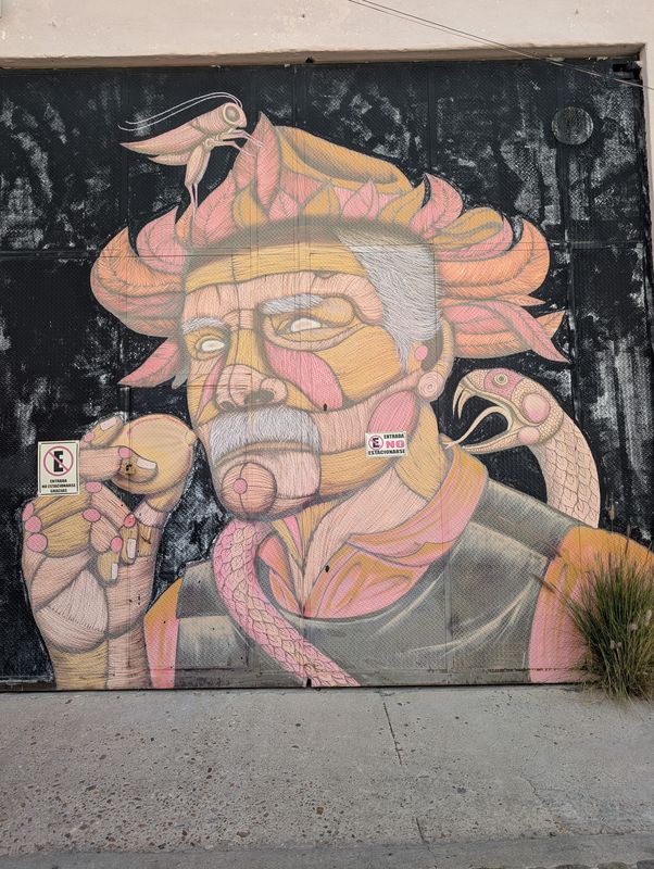 Portrait of Guerrero Mireles
