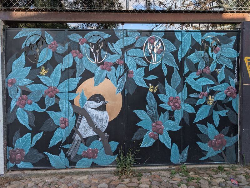Chickadee and coffee branches