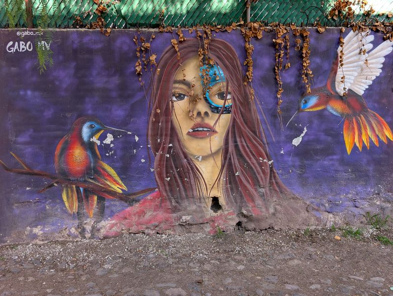 Glitch-eyed woman and hummingbirds