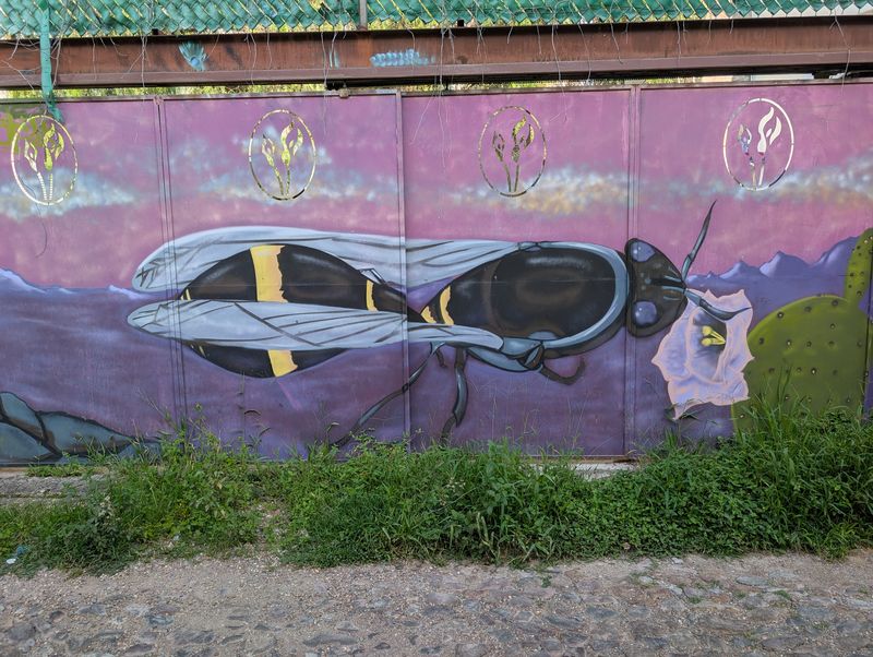 Giant bee over desert