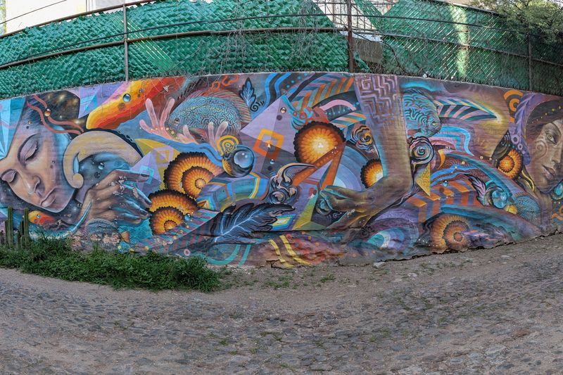 Dreaming faces and ammonites