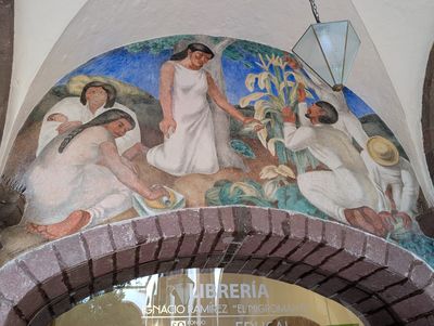 Cosecha de maíz