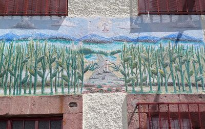 Camino entre la milpa