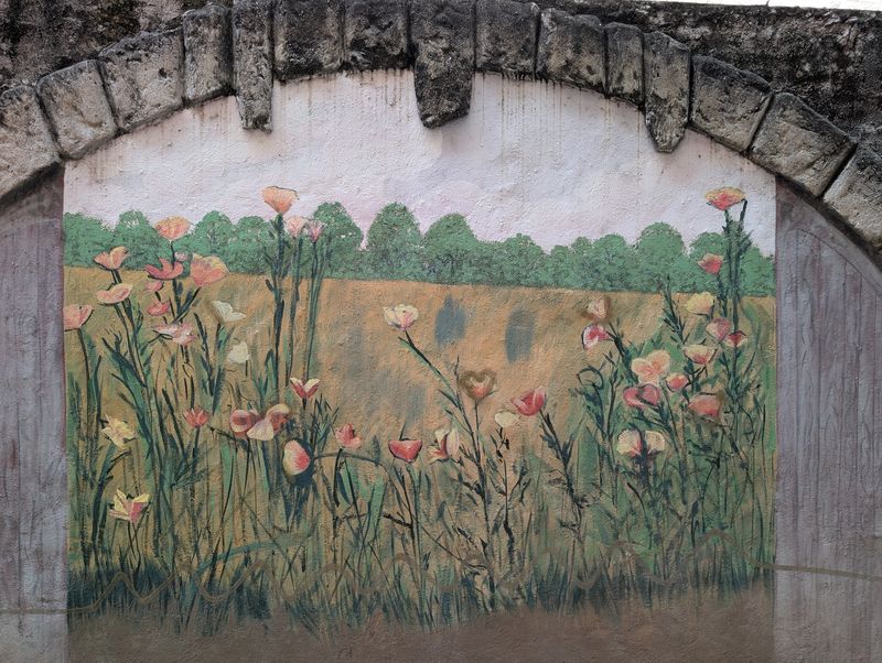 Poppy meadow